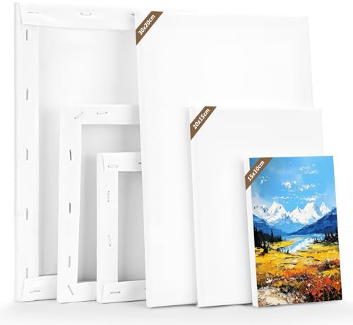 LUOJINYI Lot de 6 toiles à peindre (30 x 20,20 x 15,15 x 10 cm, 2 pièces chacune) sur châssis en coton pour peinture acrylique, peinture à l'huile, débutants artistes