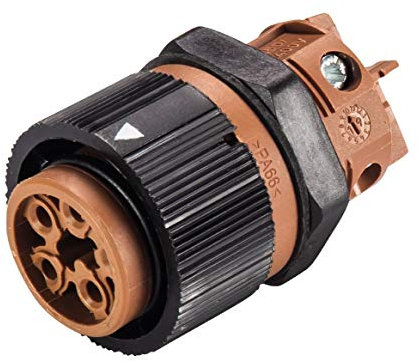 Wieland 46.051.5050.4 Rundstecker Buchse, Einbau Serie (Rundsteckverbinder): RST® Mini Gesamtpolzahl: 5 1 St.