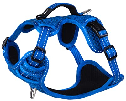 ROGZ SJX14.B Explore Geschirr, S, blau