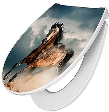 banjado Premium Toilettendeckel mit Absenkautomatik 45x38,4cm / WC Brille Soft Close/hygienischer Toilettendeckel/Klodeckel Duroplast mit Edelstahl Scharnier/Motiv Ibrahim