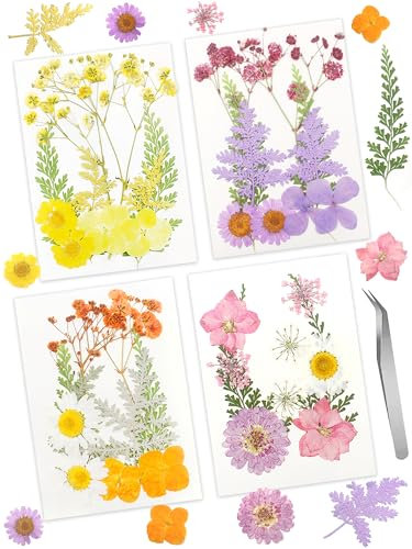 Cinvo Echte getrocknete gepresste Blumen und Blätter, natürlich getrocknete Blütenblätter, Grün, mit Pinzette für Kerzen, Schmuck, Seife, Nagelanhänger, Handyhülle, Basteln, Blumendekorationen,