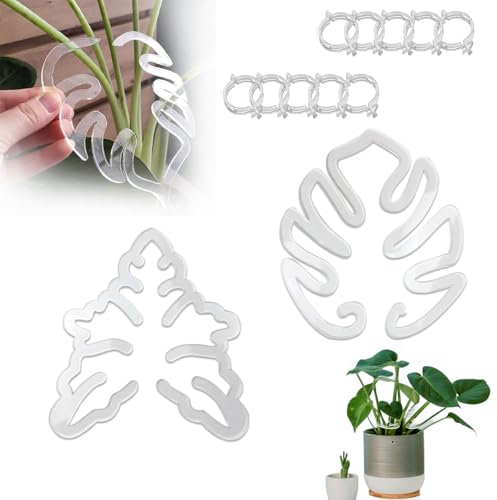 Yeomju Monstera, 24 supporti per piante da interno, clip di supporto per piante da interno, per piante da utilizzare, mantiene le piante addomesticate e crescere