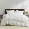 Sleep2Care Winterdecke 240x260 | Premium Winter Bettdecke 100% Daunen & Federn | Öko-Tex Zertifizierte Daunendecke für Außergewöhnliche | Wärme Steppdecke 3430g Füllgewicht | 550gsm Füllung