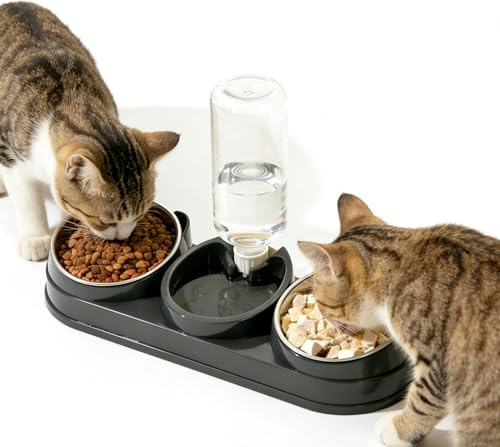 Cat Bowl,Cat Food and Water Bowl Set with Water Dispenser and Stainless Steel Bowls (Large-Style-C)