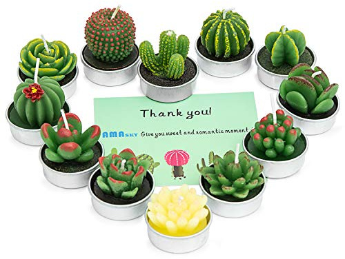 AMASKY - Velas de Cactus delicadas Hechas a Mano para decoración de cumpleaños, Bodas, SPA, hogar, 12 Unidades en Paquete