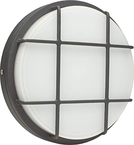as - Schwabe LED Wandleuchte rund 20 W 1680 lm anthrazit - Ø220 x 51mm - Außenleuchte wassergeschützt IP65-4000K - schlagfestes Alu-Gehäuse - 2 Leitungseinführungen - Kellerlampe, 56731