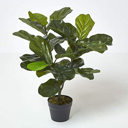 HOMESCAPES Plante Artificielle Fausse Plante Verte Figuier Lyre en Pot, 70 cm