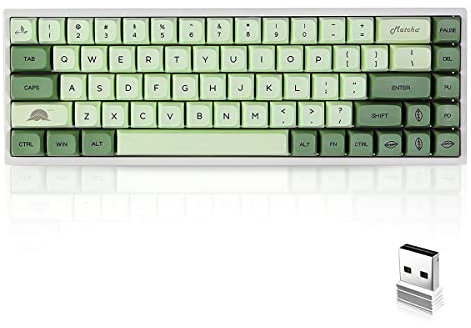 BOYI 68 RGB Hot Swappable Keyboard,XDA Profile PBT Sublimation Keycaps Bluetooth 5.0/2.4G/Wired Type-C Tri-Mode 65% Mechanical Gaming Keyboard (Gateron Yellow Switch, Matcha XDA Keycaps)