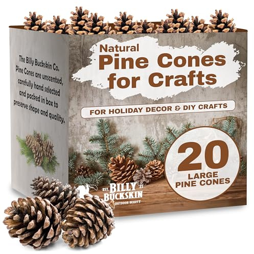 20 Large Natural Pine Cones for Crafts, 3 to 4 Tall Pine Cones Craft for Table, Home Decor, Vase Fillers, Desk & Christmas Trees, Unscented Pinecones Crafts Ornament for Decorating by Billy Buckskin
