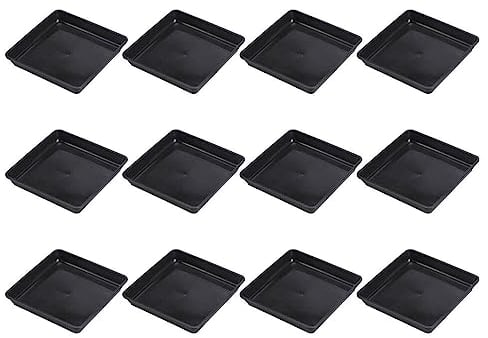 DOITOOL Soucoupe Carrée pour Plantes 6 Pouces Paquet De 12 Soucoupe pour Plantes en Plastique Plateau D'égouttement Soucoupes pour Pots De Fleurs Plateau De Drainage d'eau pour Plantes en