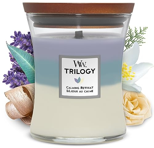 WoodWick Ellipsenförmige Duftkerze mit knisterndem Docht, Sand & Driftwood, bis zu 50 Stunden Brenndauer, Large, Ellipse