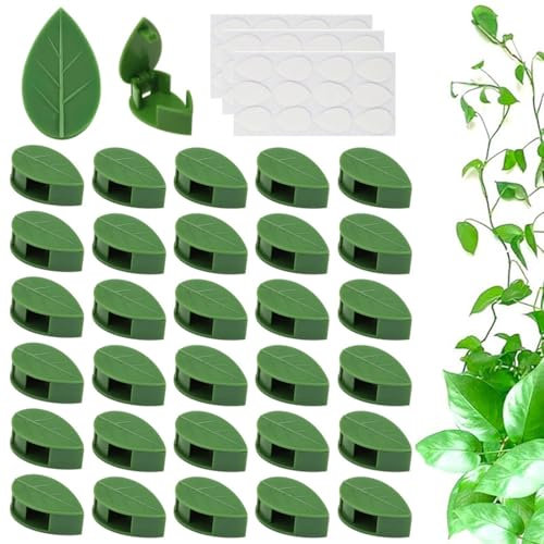 WUSJCOF Soporte Plantas Trepadoras, 30 Piezas Soporte Autoadhesivo para Plantas, Sujetadores de Plantas para Paredes Lisas, Clips Invisibles para Plantas, Guía para Plantas Trepadoras