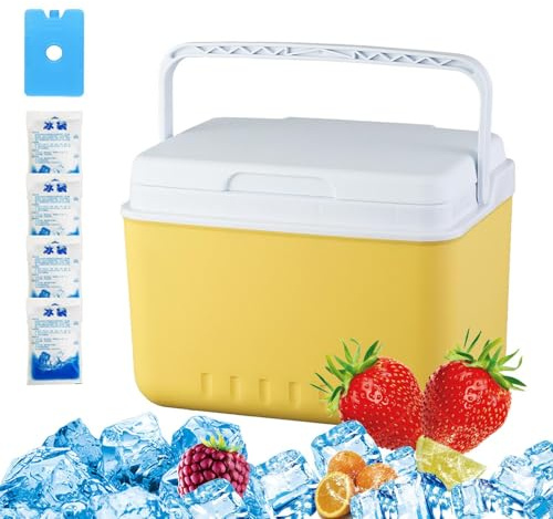 Kühlbox Große Kapazität Tragbar und Langanhaltend Für Getränke | Reise-Mini-Kühlschrank Aufbewahrungsbehälter Tragbare Kleine Isolierbox Für Wandern Picknick Grillen Angeln