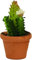Dekop Miniatur Modellzubehör Blumentopf, Kaktus, Ø 2,6cm (444444635097252)