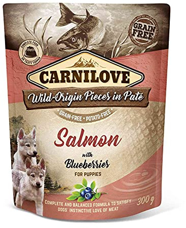 VAFO Praha s.r.o. CARNILOVE Dog SASZ.300G Lachs & Blaubeeren Puppie Nassfutter / 12