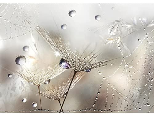 Runa Art Fototapete Blumen Pusteblume Modern Vlies Wohnzimmer Schlafzimmer - Made in Germany - 308 x 220 cm Beige 9557010a
