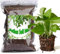 Bio-Pothos-Erde Mischung 10L, Zimmerpflanzen-Blumenerde für alle getopften Pothos, Gesunde Zimmerpflanzen drinnen züchten