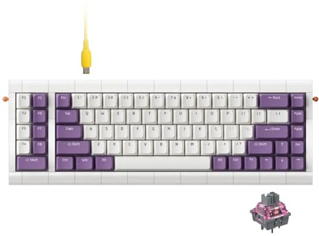 KBDcraft 02Lilith Q 75% 5.5° Ergonomic Keyboard with OEM Keycap, Lego-Compatible Case, Gasket Mount, Wired, RGB, Hot-Swappable, Linear Switch, QMK, Vial for Win/Mac, Full Kit, White (Lilith Q 75%)