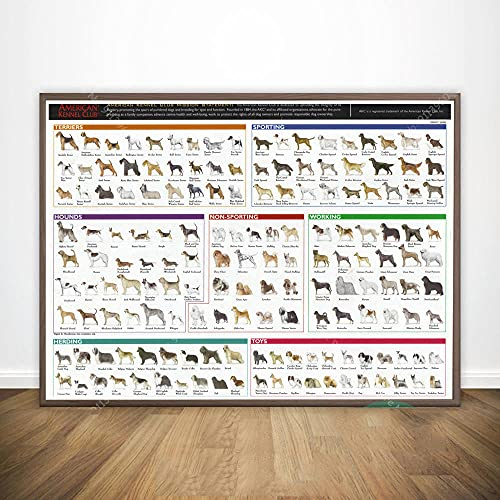 ZHJJD Das Diagramm der verschiedenen Hunderassen Anatomie Diagramm Poster Pet Shop Kunstdrucke Hund Leinwand Bilder Haustier Hund Wand BilderWohnzimmer Dekor 60x80cm Kein Rahmen, Schwarz & Weiß