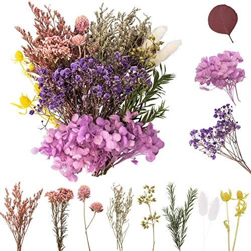 LAUMOE Fleurs Séchées, Fleurs Sechees Naturelles Fleur Séchée pour Bougies Fleurs Sechees Fleurs Séchées Vrac Fleur Sechees Decoration pour Bricolage Résine Epoxyn Art DIY Artisanale Scrapbooking