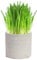 Cat FurNature - Luxury Cat Grass Pots and Growing Kits (Concrete Round)