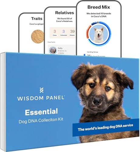 Wisdom Panel Essential – Hunde-DNA-Test für Ahnen, Rassen, Eigenschaften und Gesundheitstests