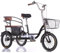 DSeenLeap 16-Zoll-Fahrrad mit 3 Rädern, verstellbares Dreirad, Rikscha-Dreirad mit Pedalen zum Reisen und Abhängen, Speichenräder mit Luftreifen, Tandem-Dreiräder mit Rücksitz (schwarz, 16 Zoll)