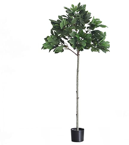 Künstliche Pflanzen Lebensleine gefälschte Pflanzen, künstlicher Feigenbaum for Desktop-Dekor, gefälschte Topfpflanzen for den Innen-Snd-Garten-Dekoration im Freien Innen ( Color : 180cm/70.8in )