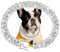 Lilbitty Silberner Hundehalsband Diamant Kubanisches Gliederhalsband 13mm Breites Hundehalsband Metall Katzenhalsband Haustier Kristallhalsband Schmuck Zubehör,40cm