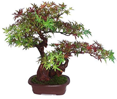 QTYQWC Künstliche Bonsai-Pflanze, künstliche Blume im chinesischen Stil, künstliche Bonsai-Einrichtungsgegenstände, künstliche rote Ahorn-Grünpflanzen, Topf-Wohnzimmer, Zimmerpflanzen-Dekoration,