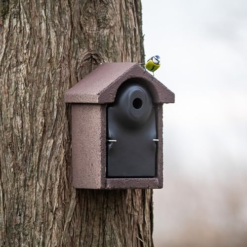 CJ Wildlife Nistkasten – Vogelnistkasten für Meisen – Holzbeton Woodstone Schwarz-Braun – 28 mm Einflugloch – wetterfest, langlebig, räubersicher