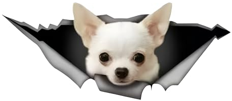 Autoaufkleber Chihuahua Aufkleber 15cm(5.9 Inch) Weiß Chihuahua Reflektierende Aufkleber 3D Zerrissen Autoaufkleber Haustier Hund Lustig Aufkleber Chihuahua Car Sticker Personalisieren Lustig Dekor