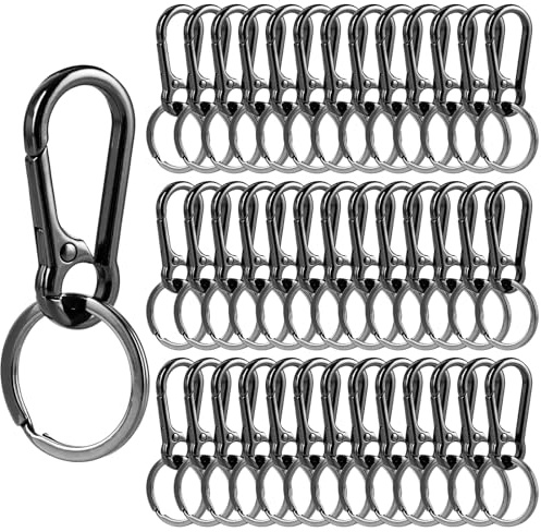 LOLYSIC 40 Stück Karabiner Schlüsselanhänger Carabiner, Karabinerhaken Klein Schlüsselanhänger Metall Schlüsselkarabiner Karabinerhaken Schlüsselring mit Karabiner für Autoschlüssel, Camping, Reisen