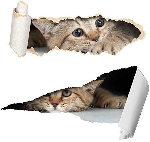 Two Cute 3D Cat Stickers - Funny Car Stickers - Wheelie Bin Stickers - Laptop Stickers