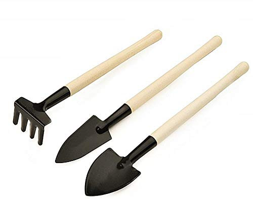 Lovelegis Kit bonsaï Outils Jardin Miniature râteau Pelle bêche Lot de 3 pièces idée fête Accessoires Mini bonsaï Jardin Soin des Plantes