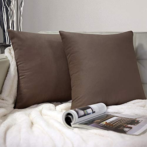 Barbons Kissenbezug 40x40 2er Set – Samt Dekokissenbezug weiche Kissenbezüge Kissenhülle mit Reißverschluss Kopfkissenbezug (40x40, Kaffeebraun)