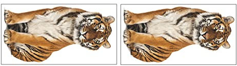 ORFOFE 2stücke Liegender Tiger Wandaufkleber Wandsticker Mit Tiger Für Kinderzimmer Indoor Deko Sticker Kreativer Tier Aufkleber Für Wände Und Fenster