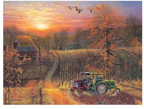 Cobble Hill Puzzle XXL Pieces 275 große Teile Taking a Break Landschaft