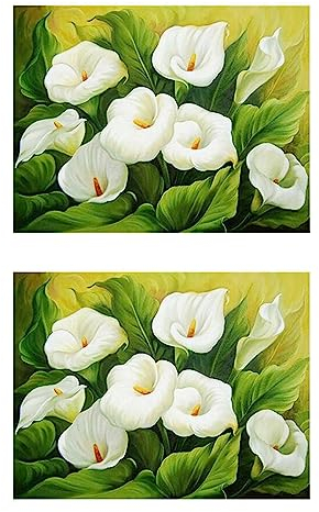 Zelausica 2 x Diamant-Stickerei-Leinwand, 5D-Blumen, weiße Calla-Lilien-Gemälde, Strasssteine