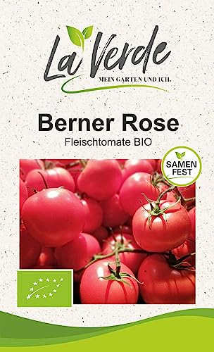 Berner Rose BIO Tomatensamen