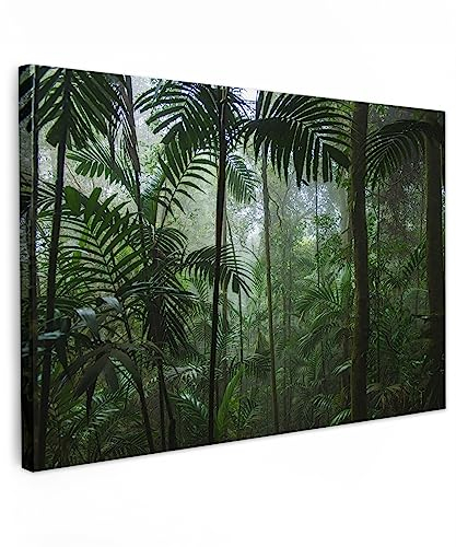 MuchoWow© Leinwand Bilder Groß 120x80 cm XXL Wanddeko Wohnzimmer Aesthetic Room Decor Deko Zimmer Wandbilder Modern Fotogeschenke Regenwald - Dschungel - Bäume - Pflanzen - Natur - Grün