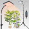 FECiDA Standing Grow Lights for Indoor Plants Full Spectrum, Stepless Dimming Grow Light with Stand for Tall Bonsai Plants, 4/8/12/16 Hr Timer, 2000 Lumen, Bright Enough, 24-64 Height Adjustable