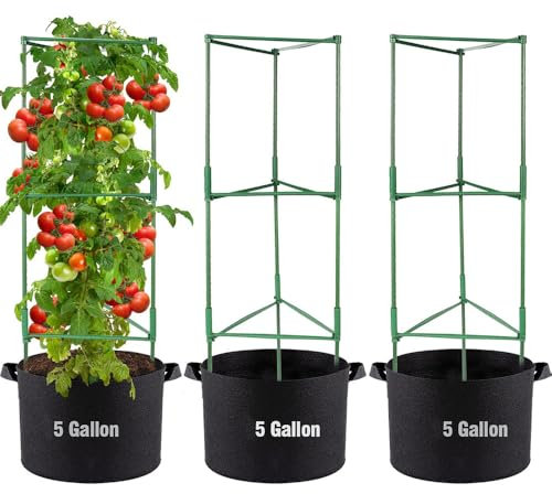 NEWFUN 3 Sets Tomaten Rankhilfe, Tomatentopf mit Rankhilfe, Stabiler Pflanzensockel mit Töpfen für Vertikale Kletterpflanzen Blumen Gemüse Reben
