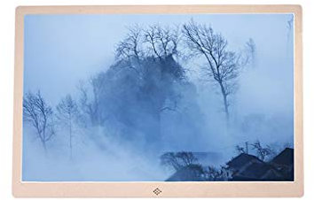 Photo Frame 15.4 inch champagne gold, rose gold digital, high-definition electronic photo album, home electronic, advertising machine