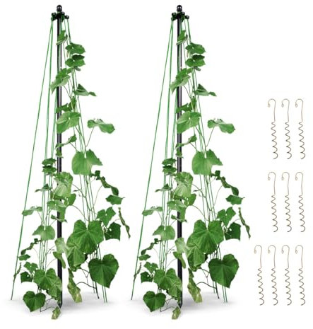 protanic Rankhilfe für Kletterpflanzen, 2er-Set, Obelisk, Rank-Pyramide
