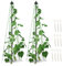 protanic Lot de 2 tuteurs pour plantes grimpantes - Obélisque - Pyramide pour plantes grimpantes