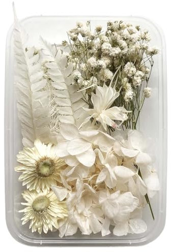 ZEPIQOR Fiori Secchi Decorativi per Resina Epossidica, Bouquet Fiori Secchi Artigianato Scrapbooking Decorazioni (A)