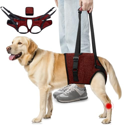 SlowTon Unterstützungsgeschirr für Hinterbeine Geschirr für mittelgroße Hunde - Bequemes, verstellbares Hebegeschirr für ältere, verletzte, arthritische, behinderte Hunde zur Rehabilitation (Rot, XL)