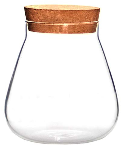 HEMOTON Bocal à épices en verre avec bouchon en liège - Pour terrarium, plantes succulentes, micro paysage, vase à bulle transparent pour bricolage, bricolage, bouteille de dérive (marron clair)