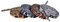 NC 4 paia 4 colori Animal Print Lacci delle scarpe zebra mucca leopardo cravatta in poliestere piatto lacci elastici scarpe scarpe corda scarpe scarpe scarpe stivali lacci di ricambio camuffamento